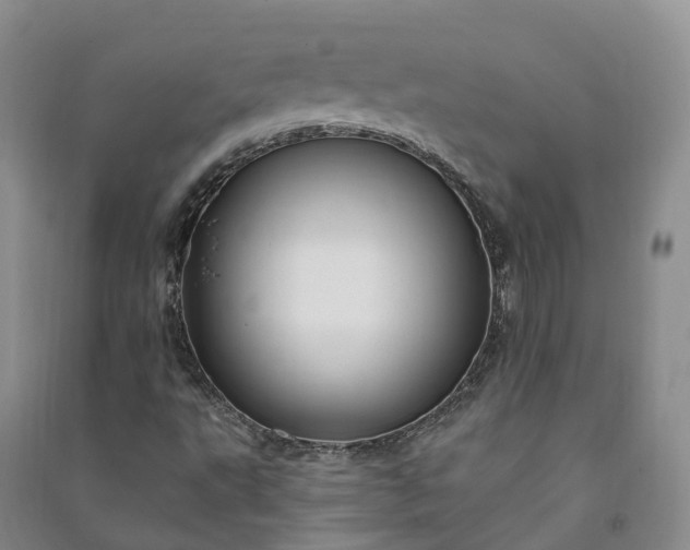 X0000090971495200708161825