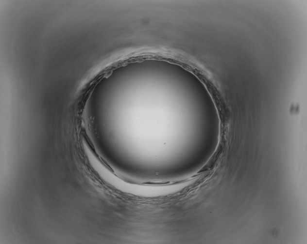 X0000090971496200708161825