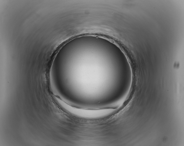 X0000090971497200708161825