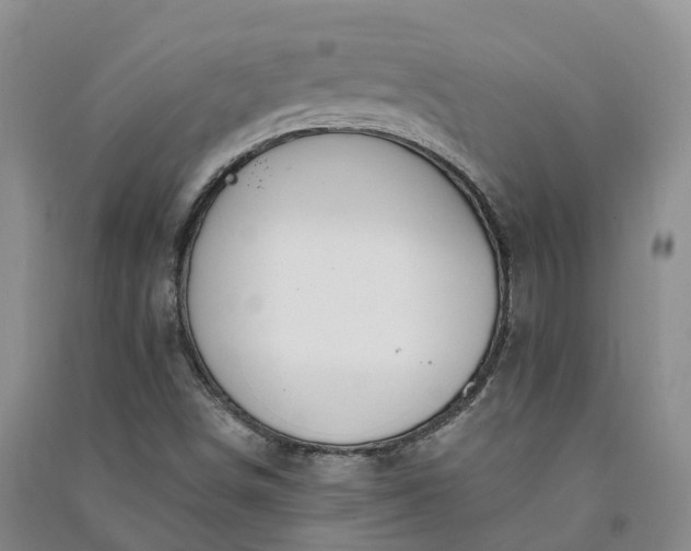 X0000090971498200708161825