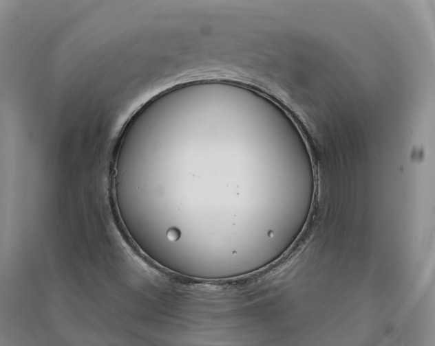 X0000090971500200708161825