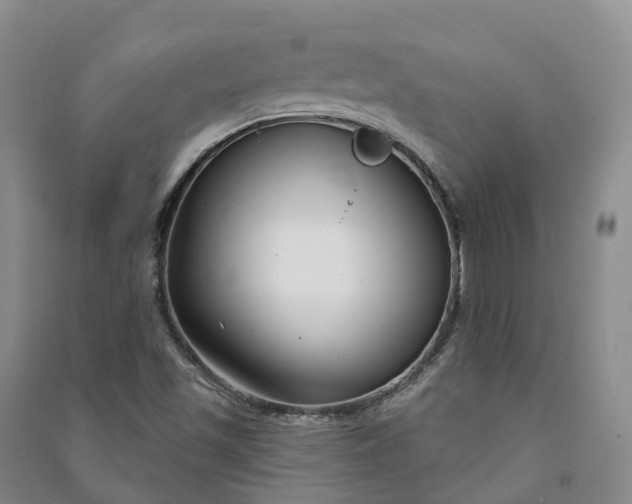 X0000090971501200708161825