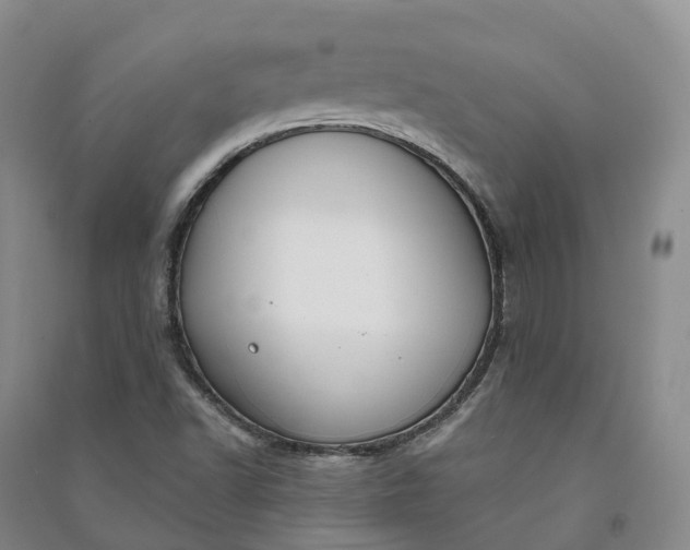 X0000090971502200708161825