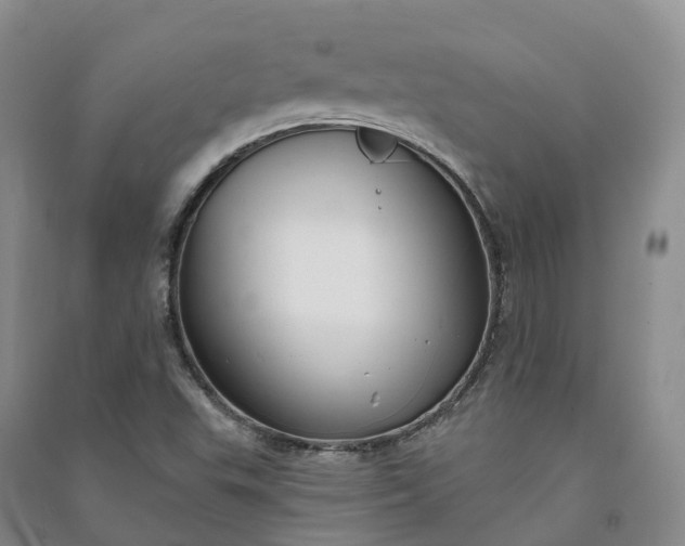 X0000090971503200708161825