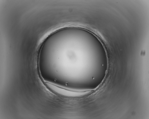 X0000090971504200708161825