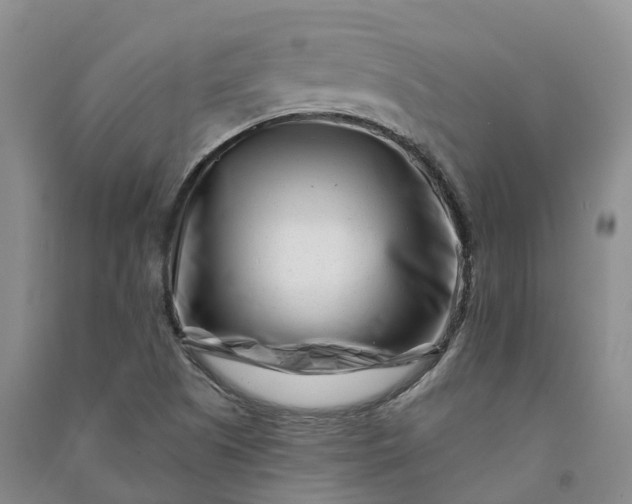 X0000090971505200708161825