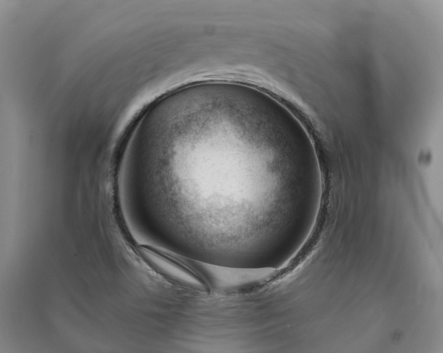 X0000090971506200708161825