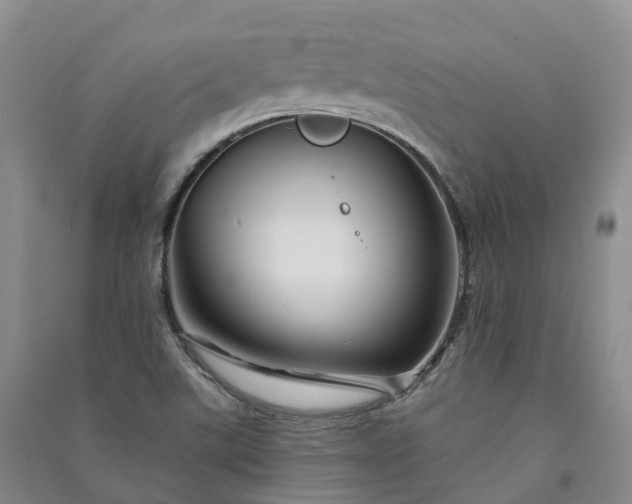 X0000090971507200708161825