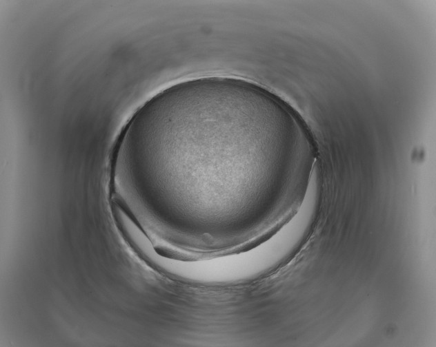 X0000090971508200708161825