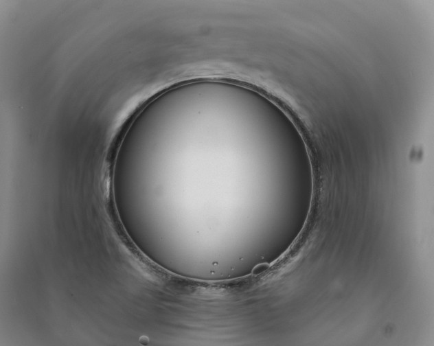 X0000090971509200708161825