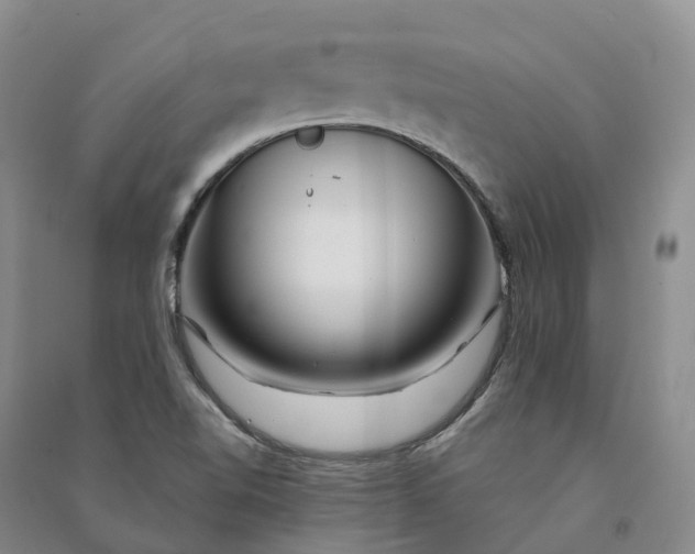 X0000090971510200708161825