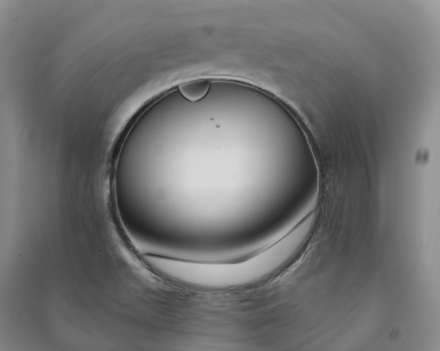 X0000090971511200708161825