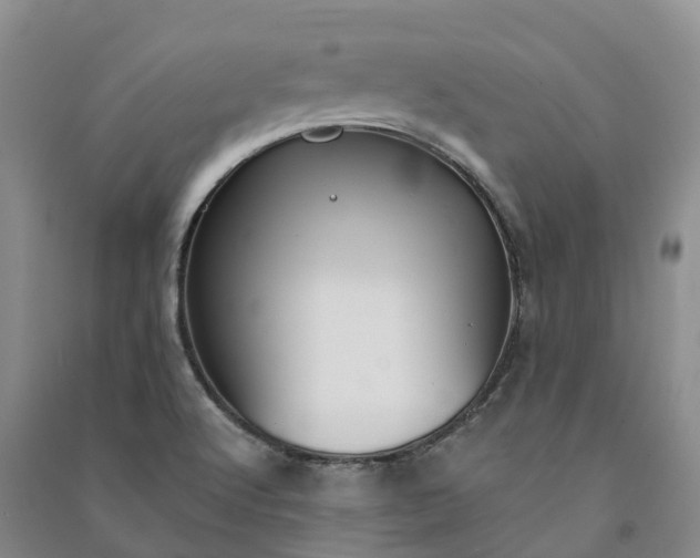 X0000090971512200708161825