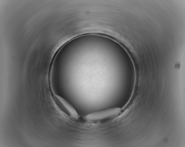 X0000090971513200708161825