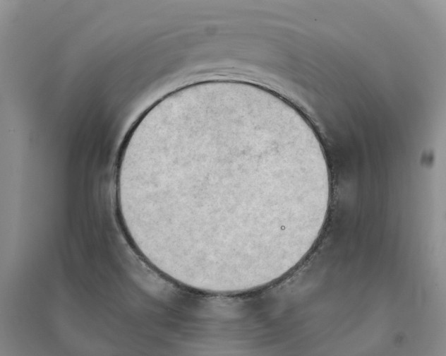 X0000090971514200708161825