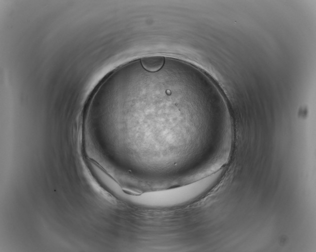 X0000090971515200708161825