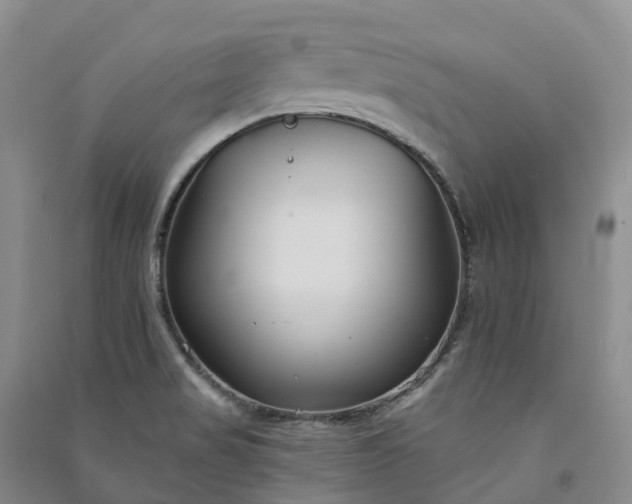 X0000090971517200708161825