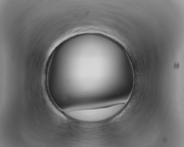 X0000090971518200708161825