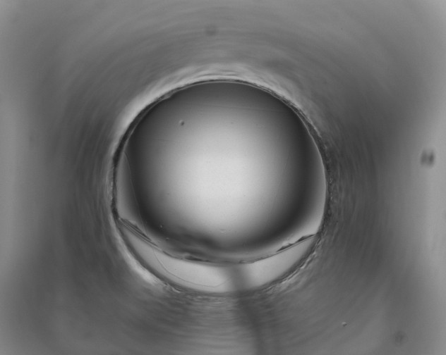 X0000090971519200708161825