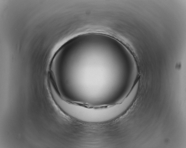 X0000090971520200708161825