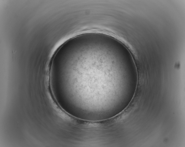 X0000090971522200708161825