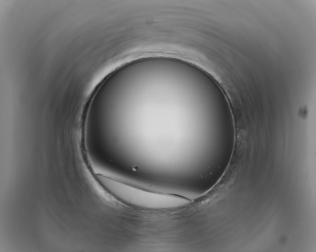 X0000090971523200708161825