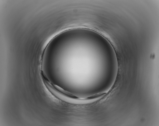 X0000090971524200708161825