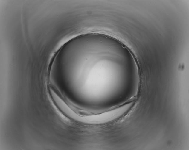 X0000090971525200708161825