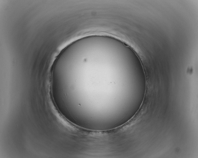 X0000090971526200708161825