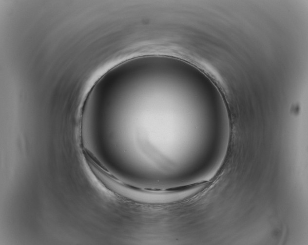 X0000090971528200708161825