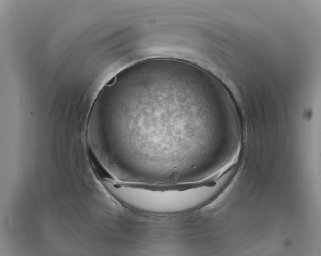 X0000090971529200708161825