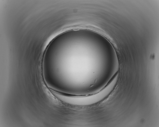 X0000090971530200708161825