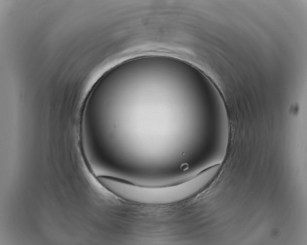 X0000090971531200708161825