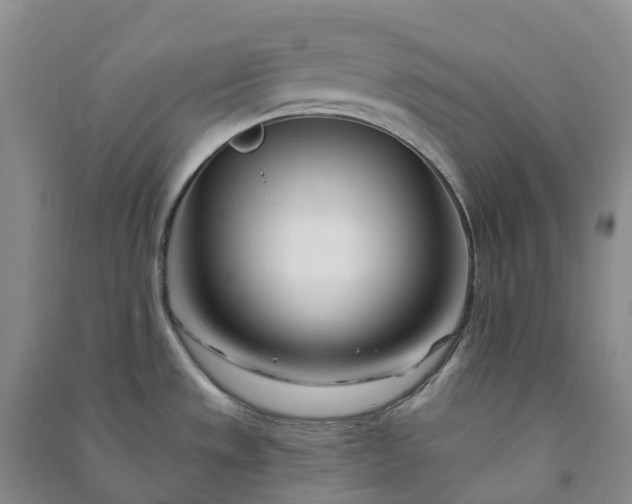 X0000090971533200708161825