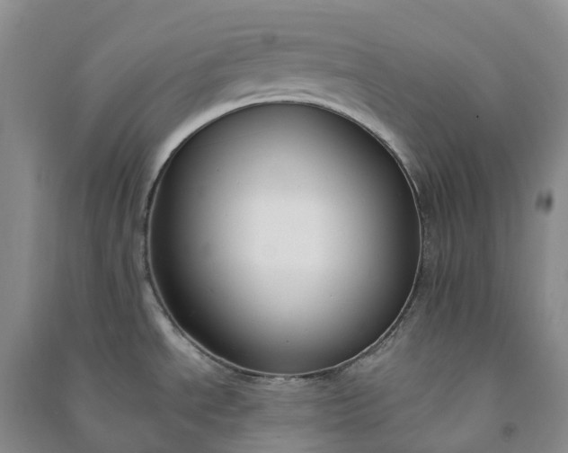 X0000090971534200708161825