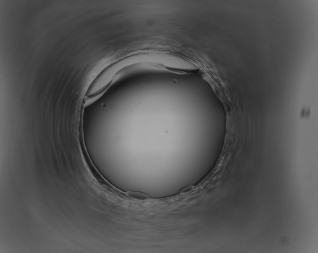 X0000090970003200708241326