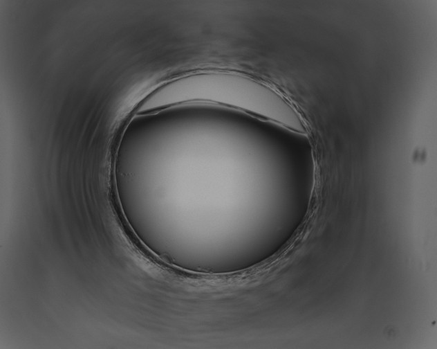 X0000090970005200708241326