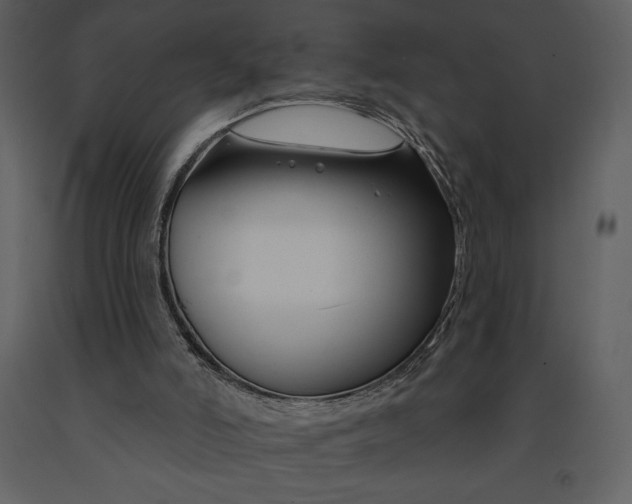 X0000090970006200708241326