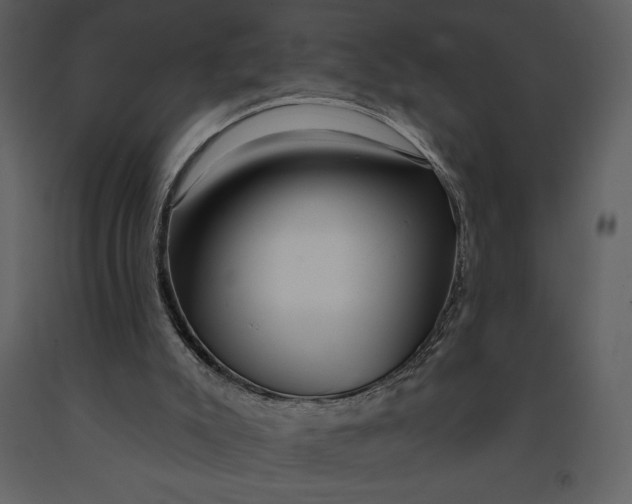 X0000090970007200708241326