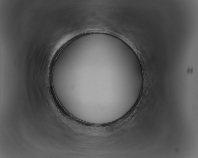 X0000090970008200708241326