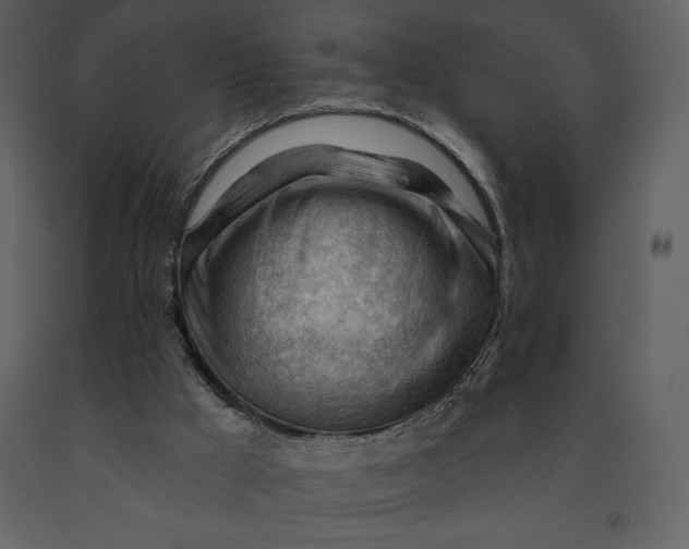 X0000090970009200708241326