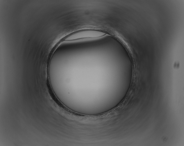 X0000090970011200708241326