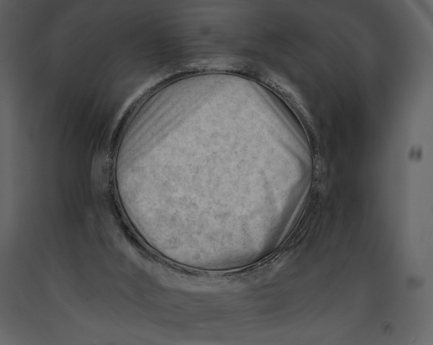 X0000090970012200708241326