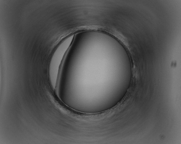 X0000090970013200708241326