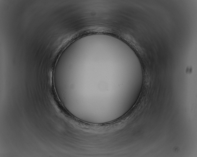 X0000090970014200708241326