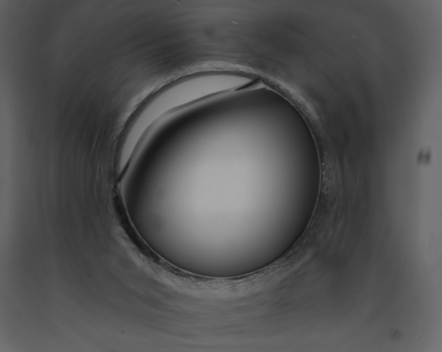 X0000090970015200708241326