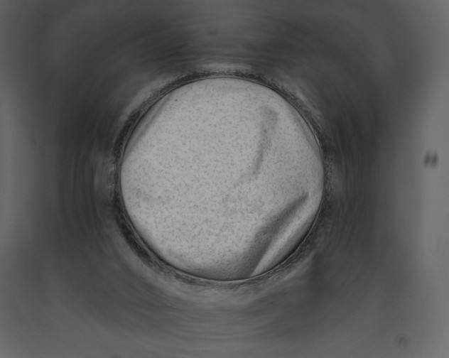 X0000090970016200708241326