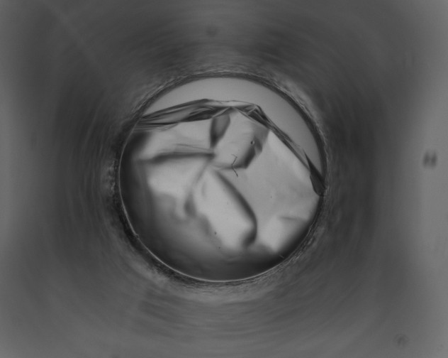 X0000090970017200708241326