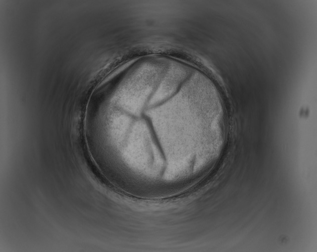 X0000090970018200708241326