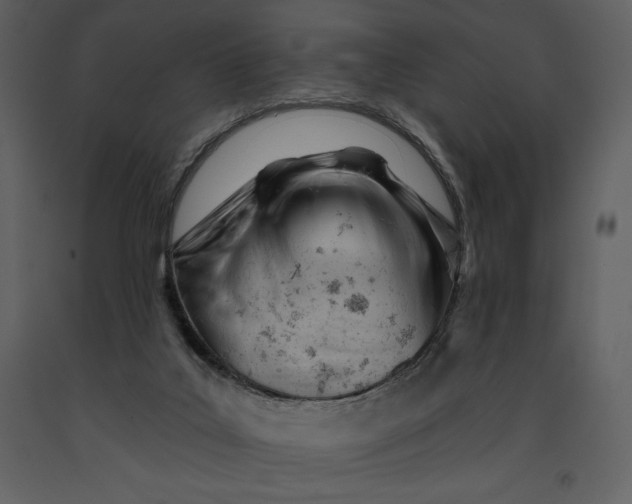 X0000090970019200708241326